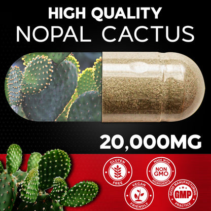 Nopal Cactus Extract Powder 120 Capsules