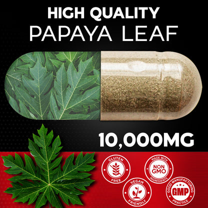 Papaya Leaf Extract Digestive Enzymes 120 Veg Capsules