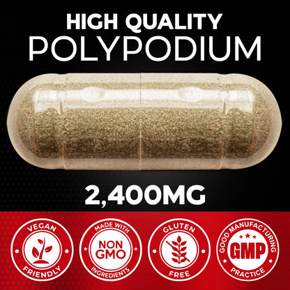 Polypodium Leucotomos Extract Powder 120 Capsules