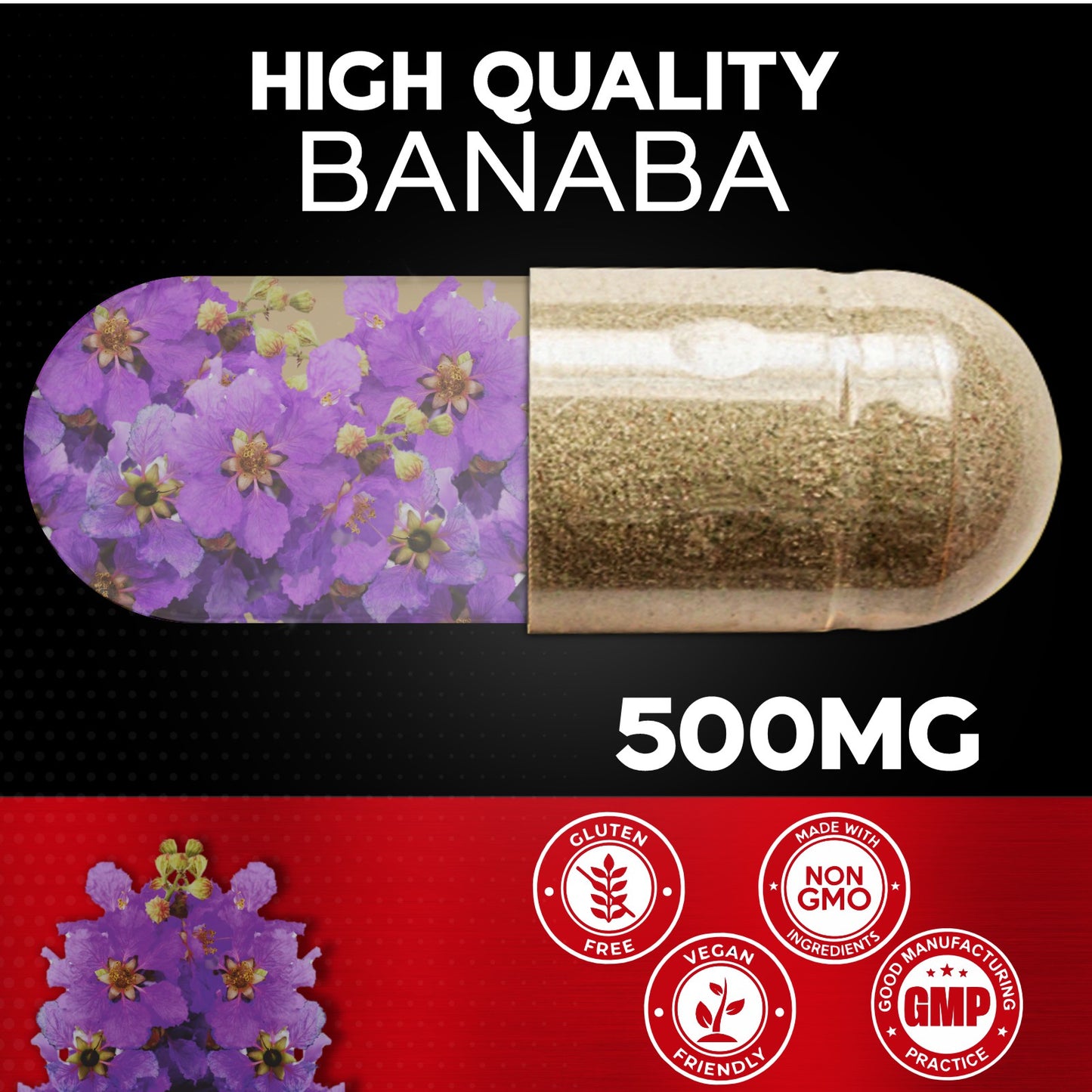 Banaba Leaf Extract 2% Corosolic Acid 120 Veg Capsules