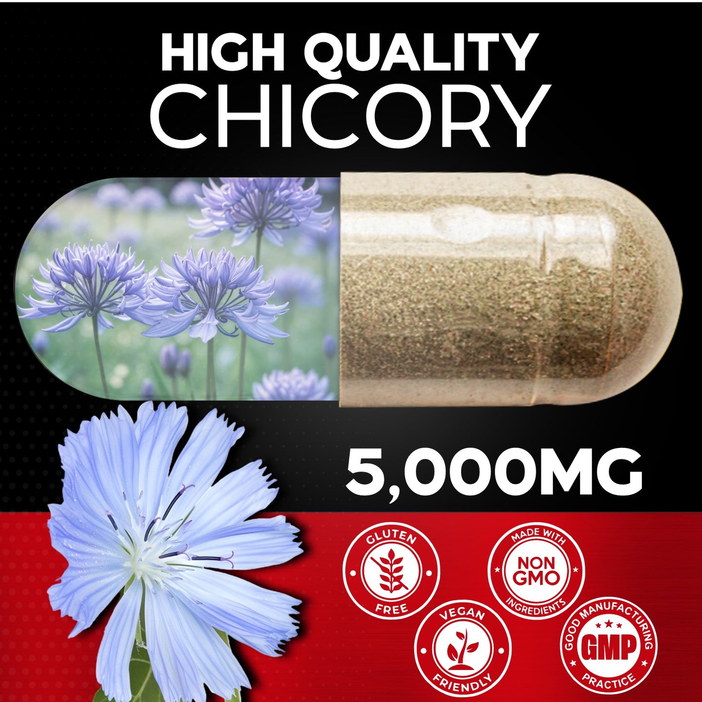 Chicory Extract Powder 120 Veg Capsule