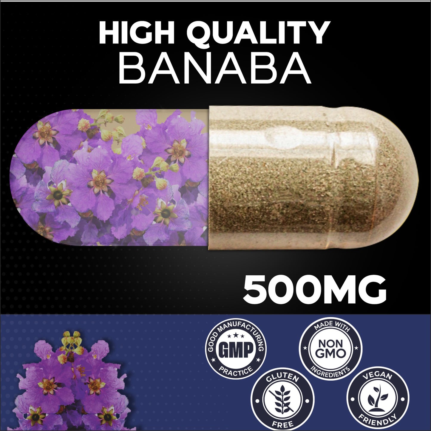 Banaba Extract Powder 90 Capsules